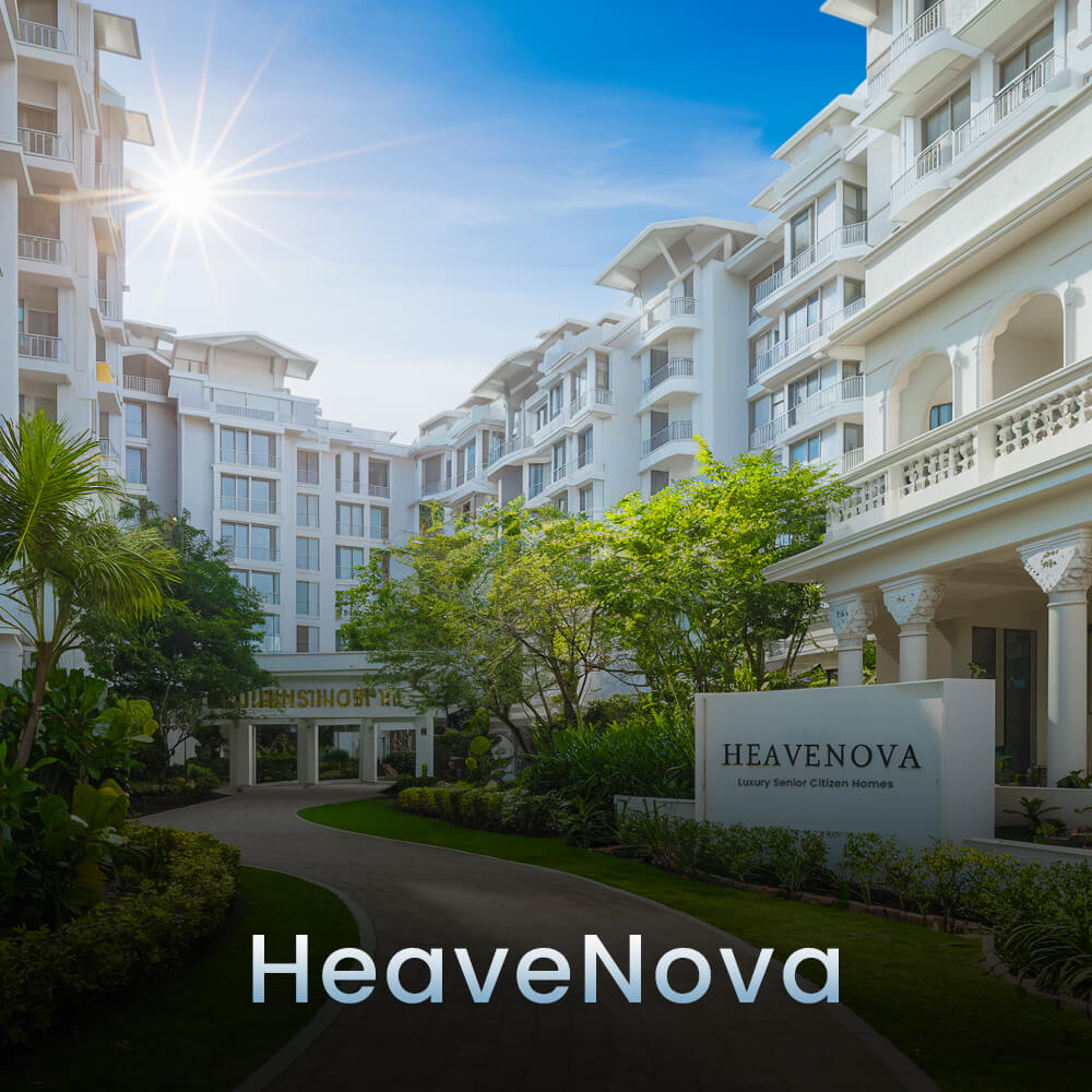 Heavenova - Contruction Company Name 